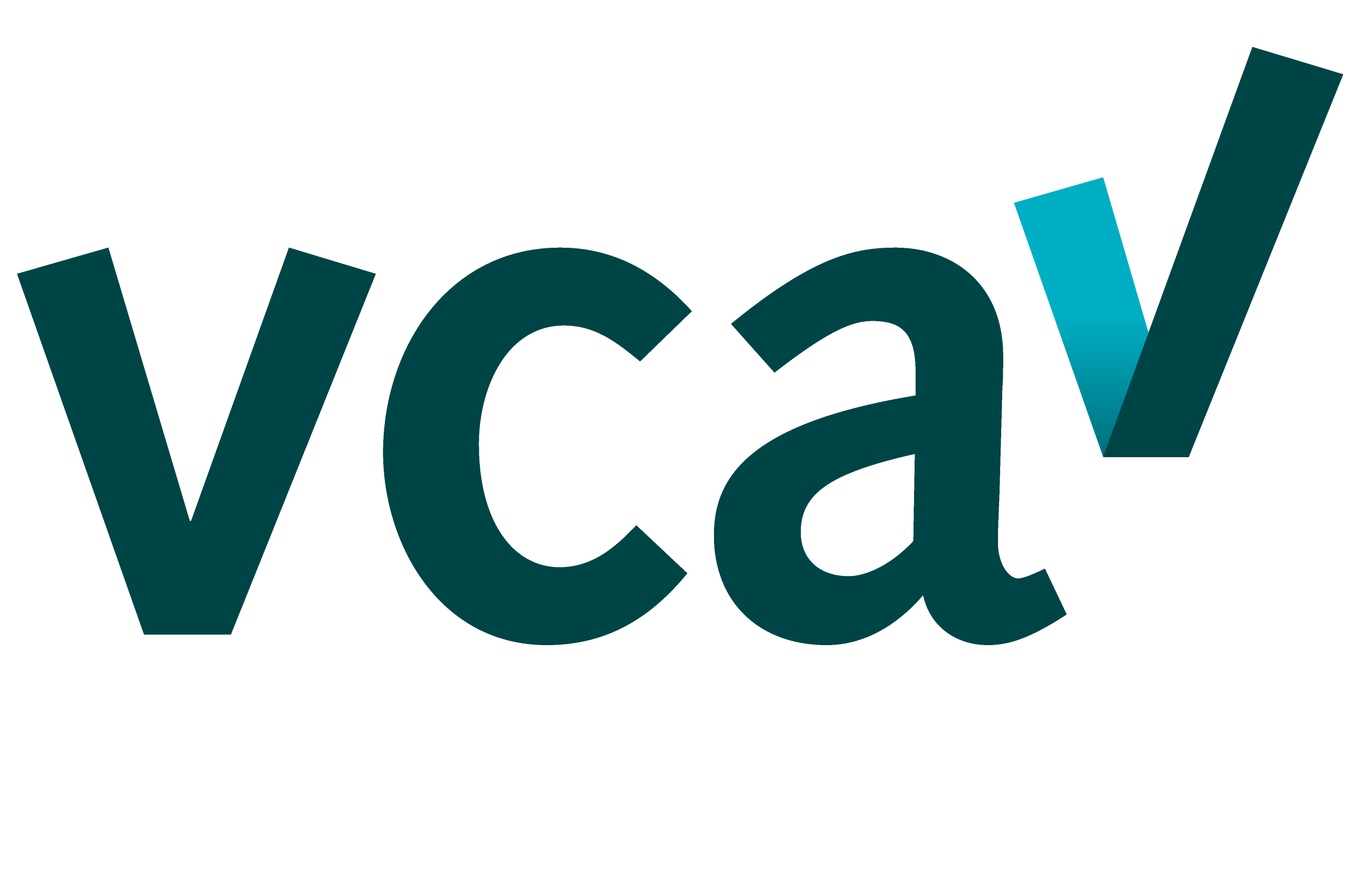 logo-vca